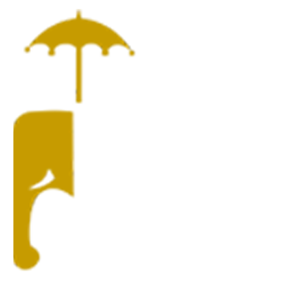 south-white logo